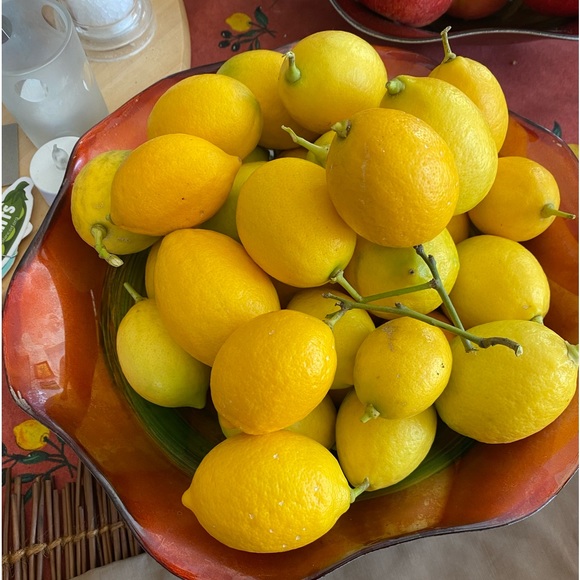 Meet your Posher, Lucy - Picture 2 of 2